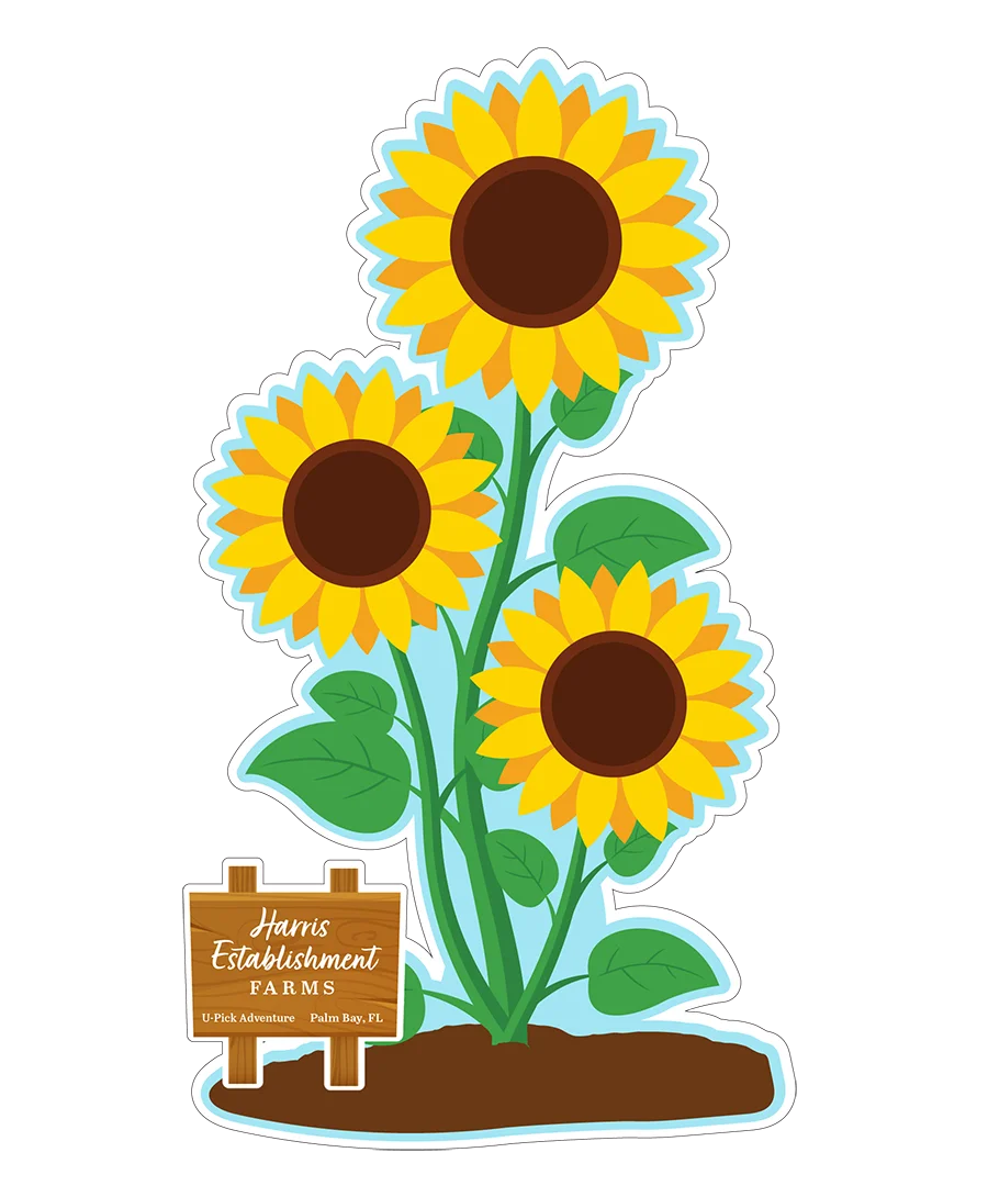 FarmSnap: Oversized - OZ-23502 - Sunflower