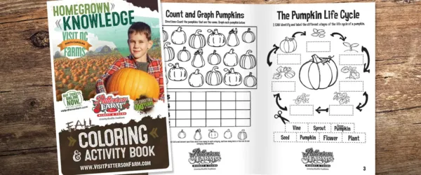 Patterson farm coloring and activity book