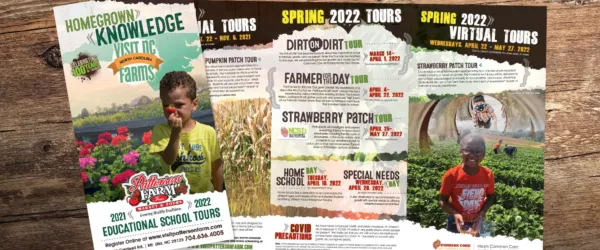 Patterson farm flyers