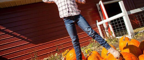 screenshot of social media post