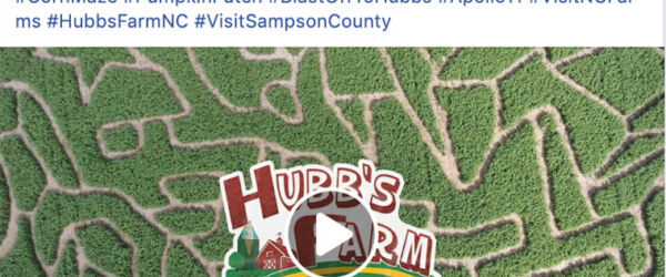 screenshot of social media post