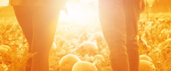 screenshot of social media post